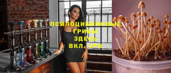 трава Аркадак