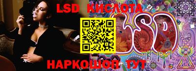 spice Берёзовский