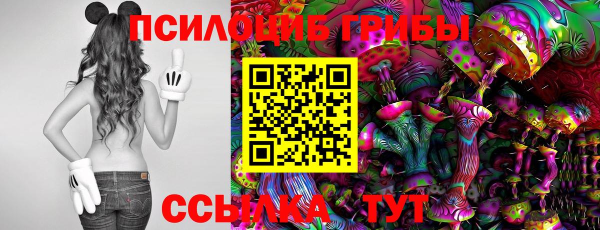 Псилоцибиновые грибы прущие грибы Белая Калитва